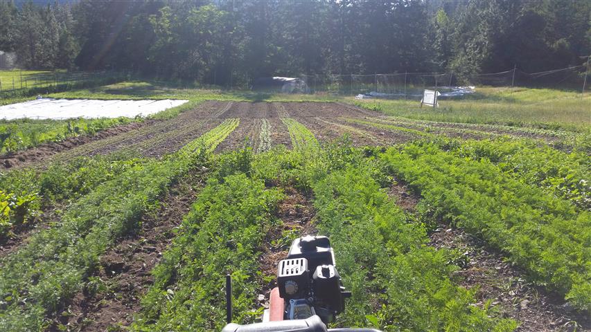  View from behind the tiller. 