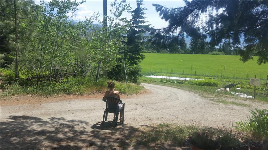  Sam decides to take lunch by herself after I told her her radish-harvesting technique was a bit sloppy. 