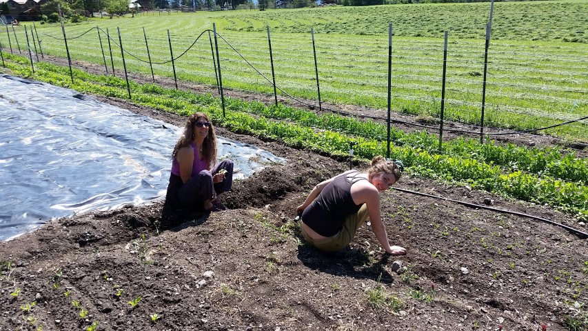 Rare sighting: Vanessa and Jess together in the garden! They might as well be Leprechauns!