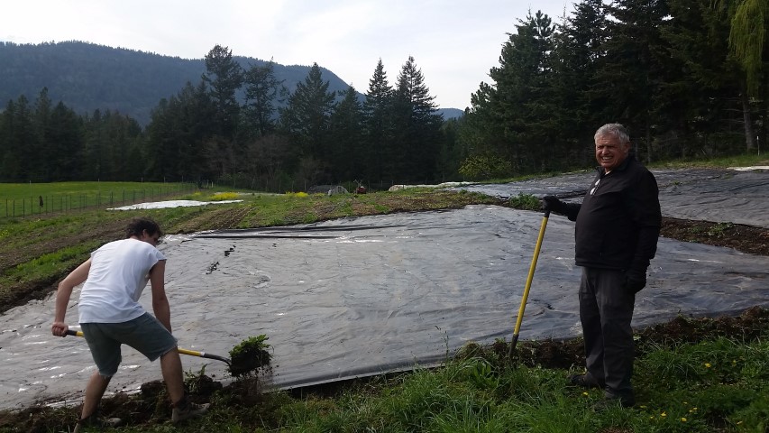  The staff didn't arrive until May, so April was kind of crazy. Jordan called in favours with friends and family to get the job done. Here, Papa and Baby Brother Marr help get some tarps down. 