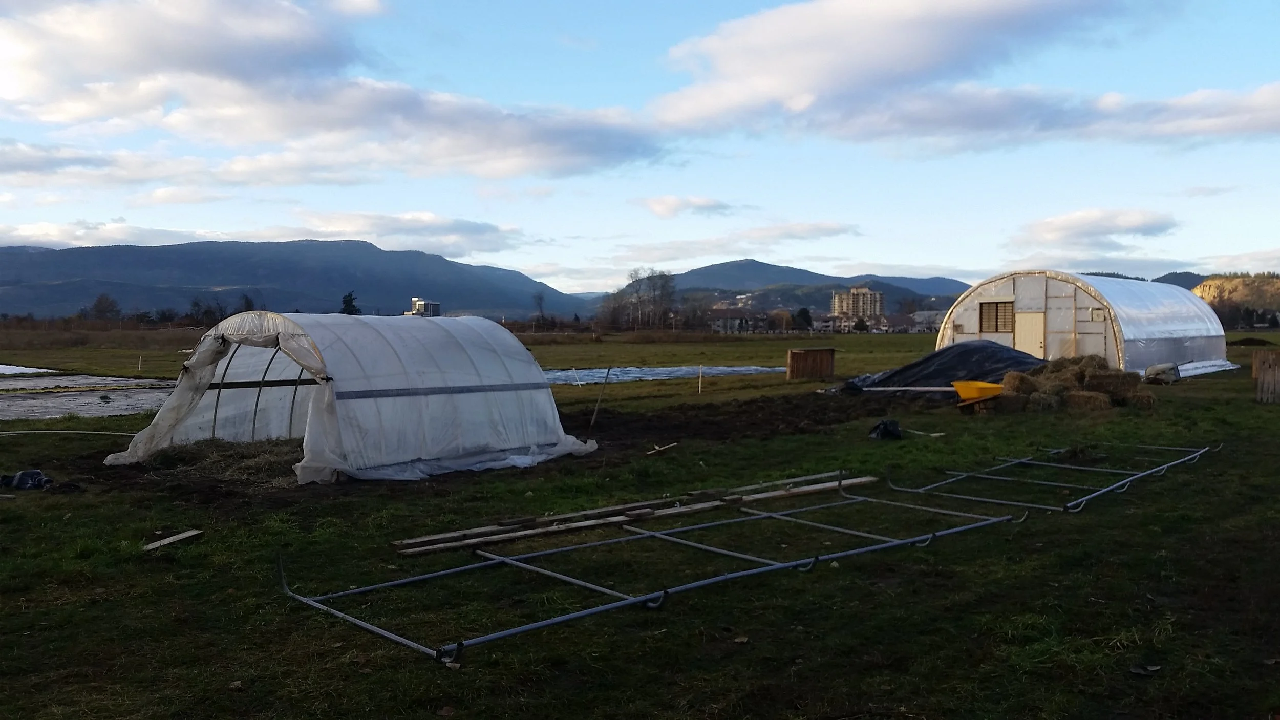 The new farm lease in Kelowna. So excited!