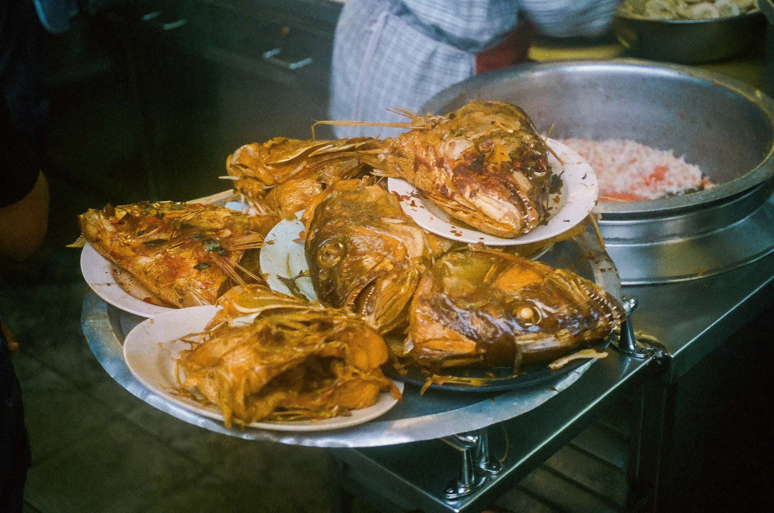 Asia Film Fish Heads.jpg