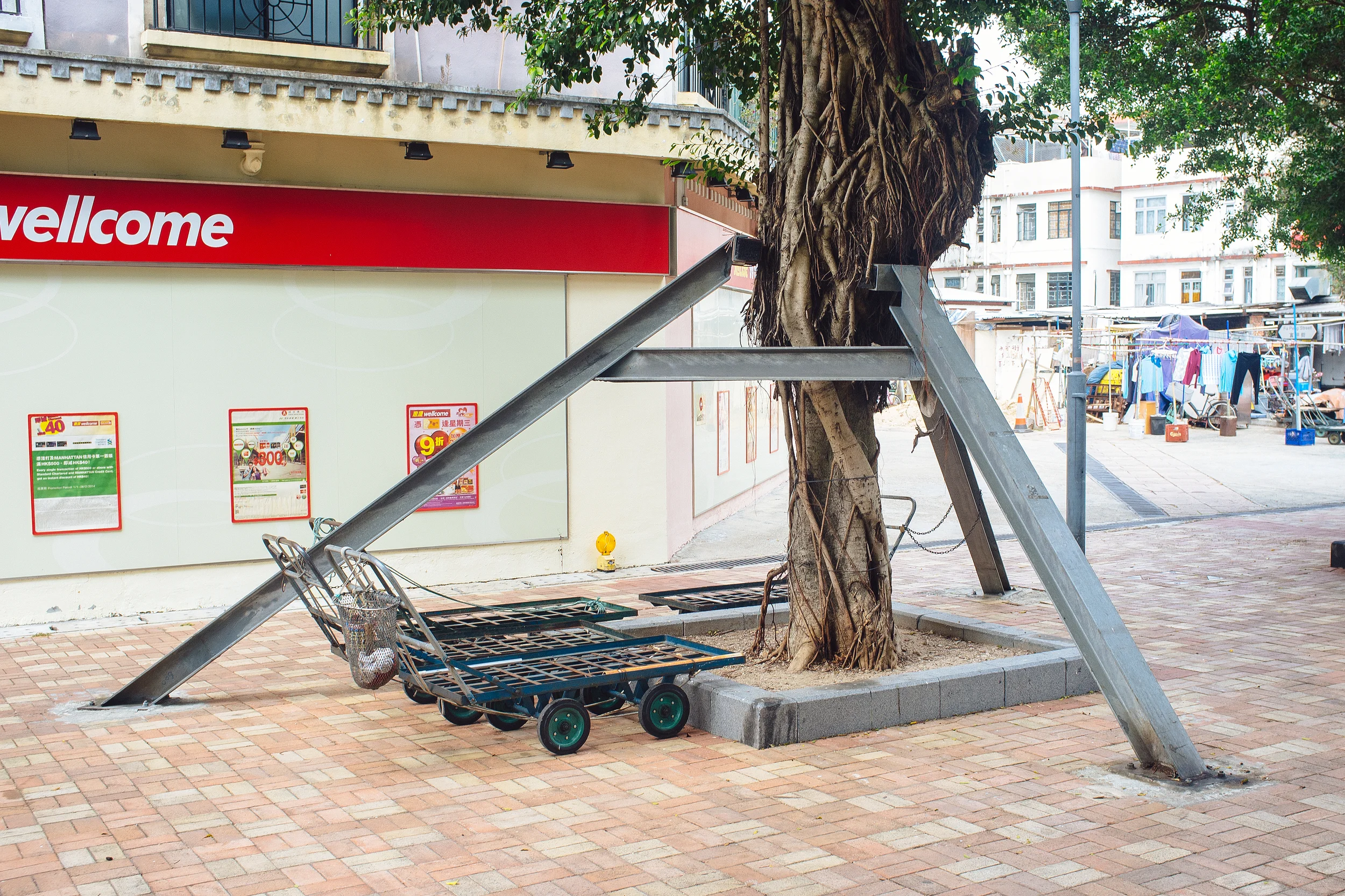 They had some serious tree stabilization technology. 