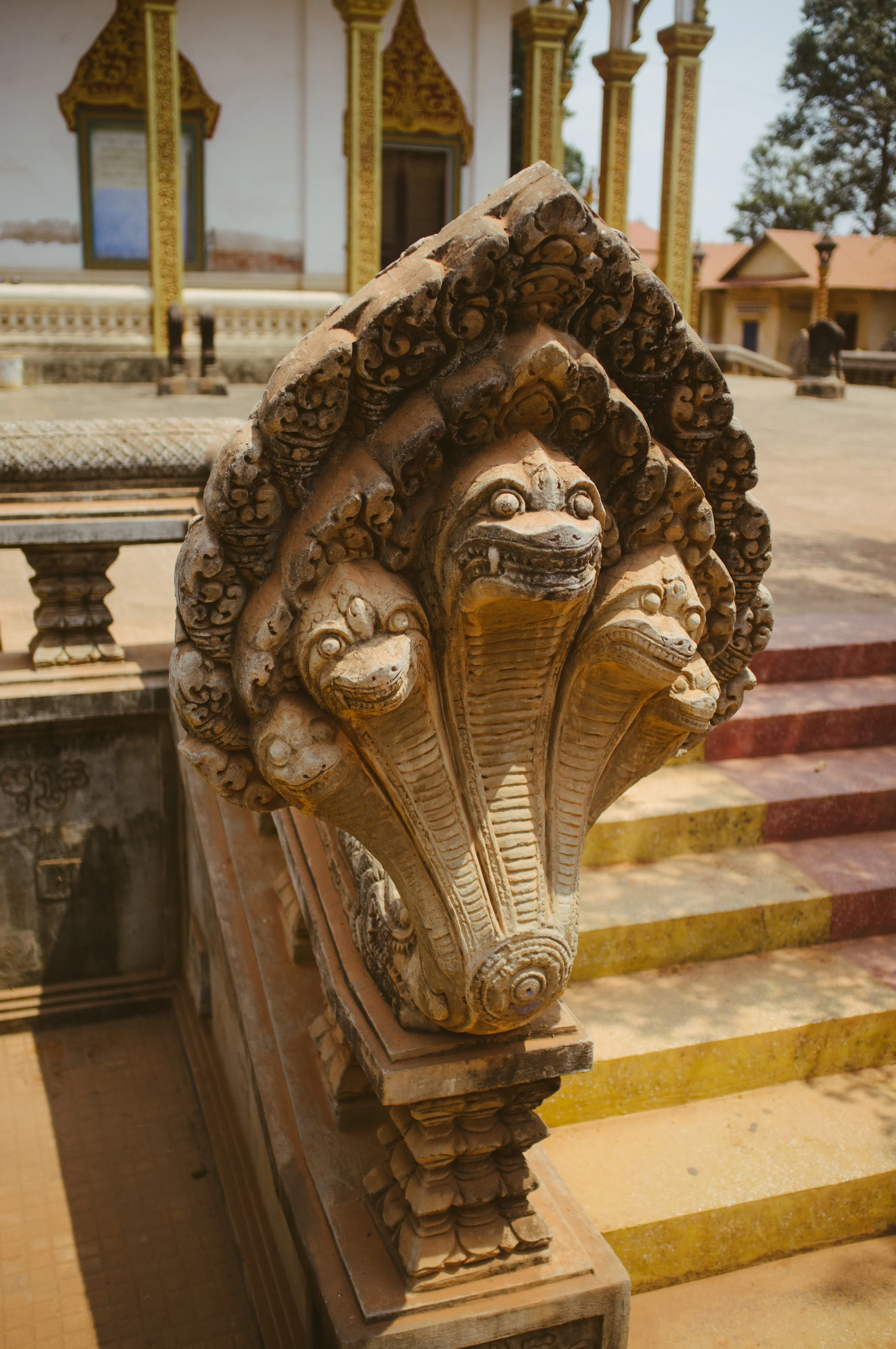 Siem Reap Snakes.jpg