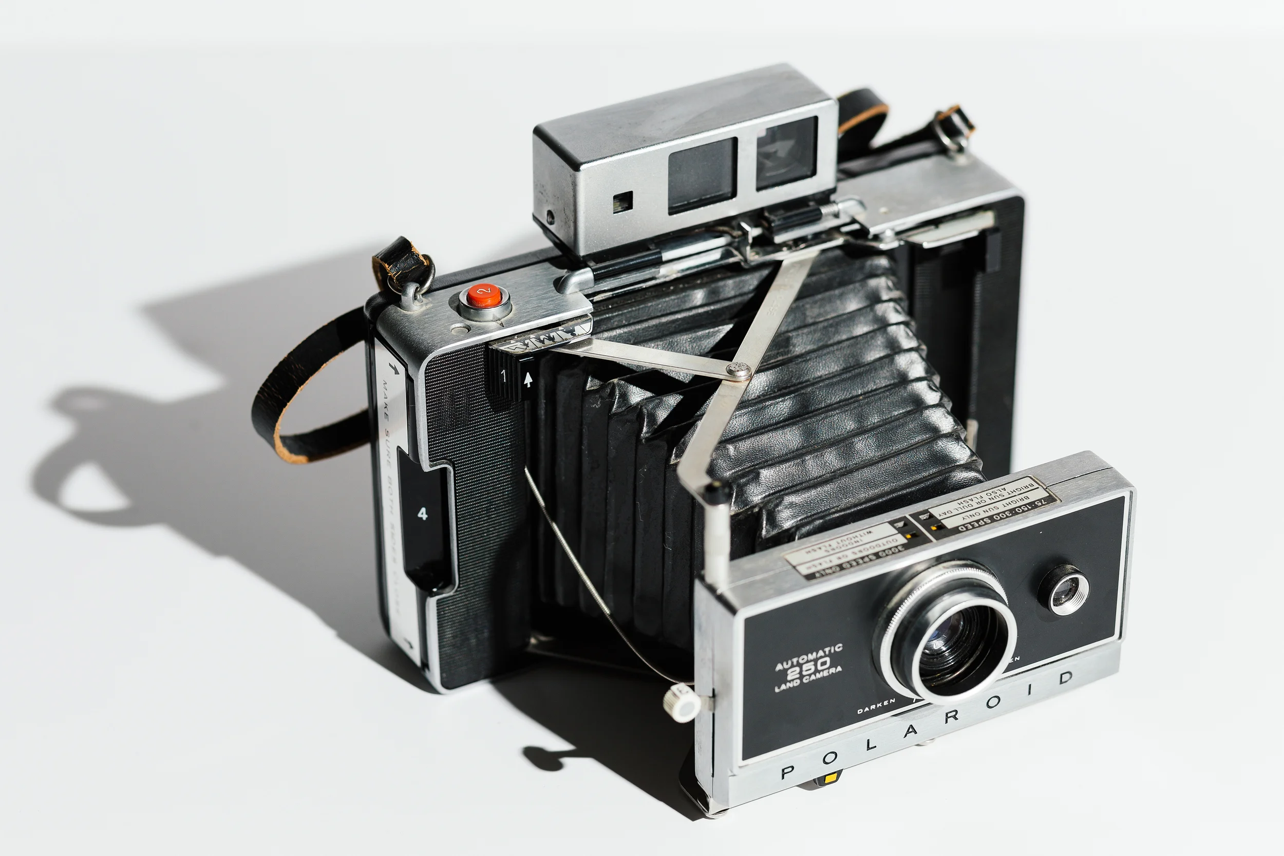 Polaroid 250 7.jpg