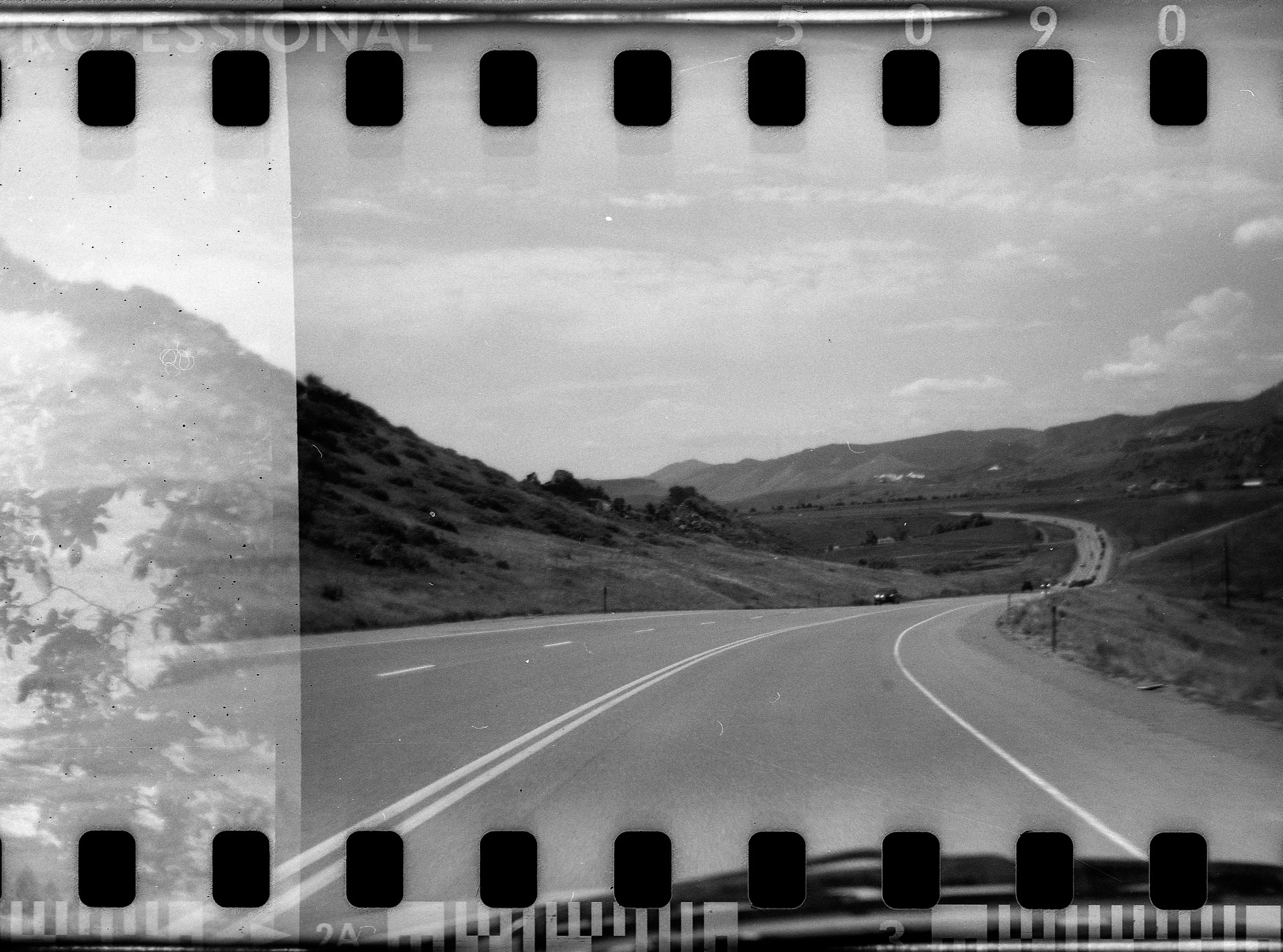 Holga 135 - 4.jpg