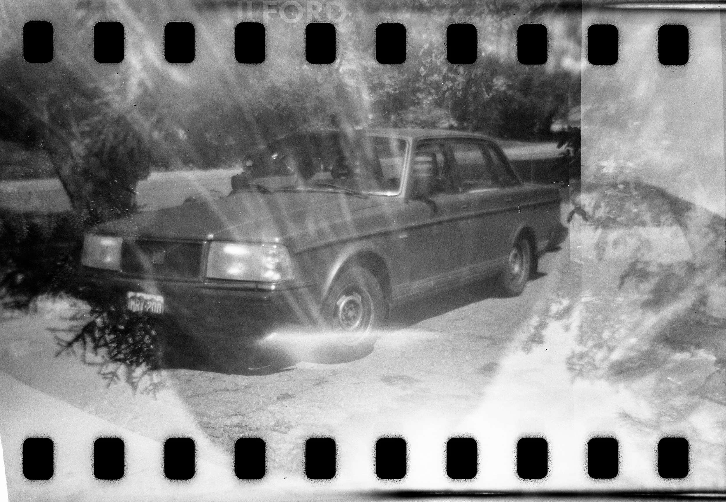 Holga 135 - 3.jpg