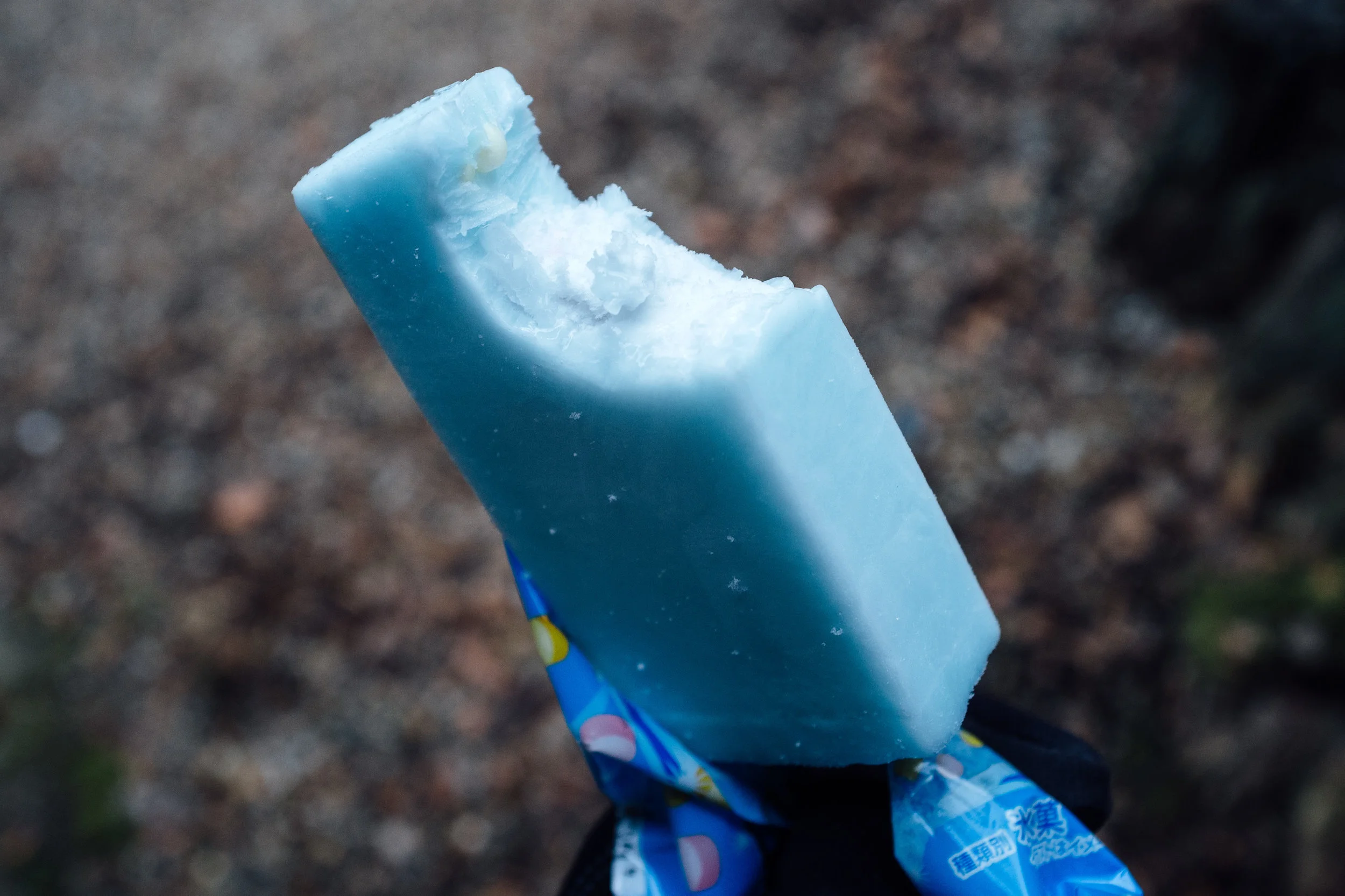 Nara Ice Pop 4.jpg