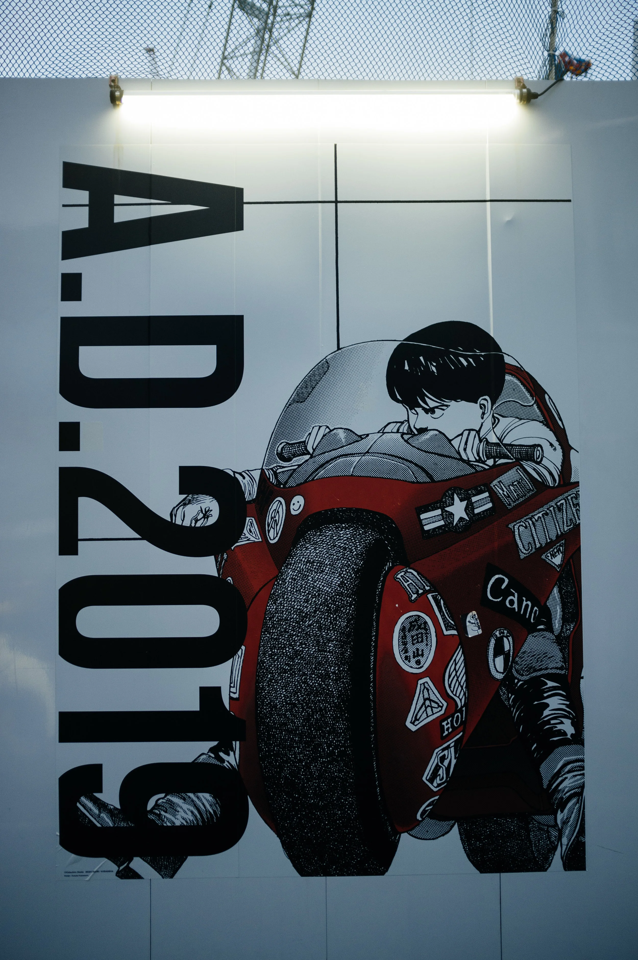 Tokyo Akira.jpg