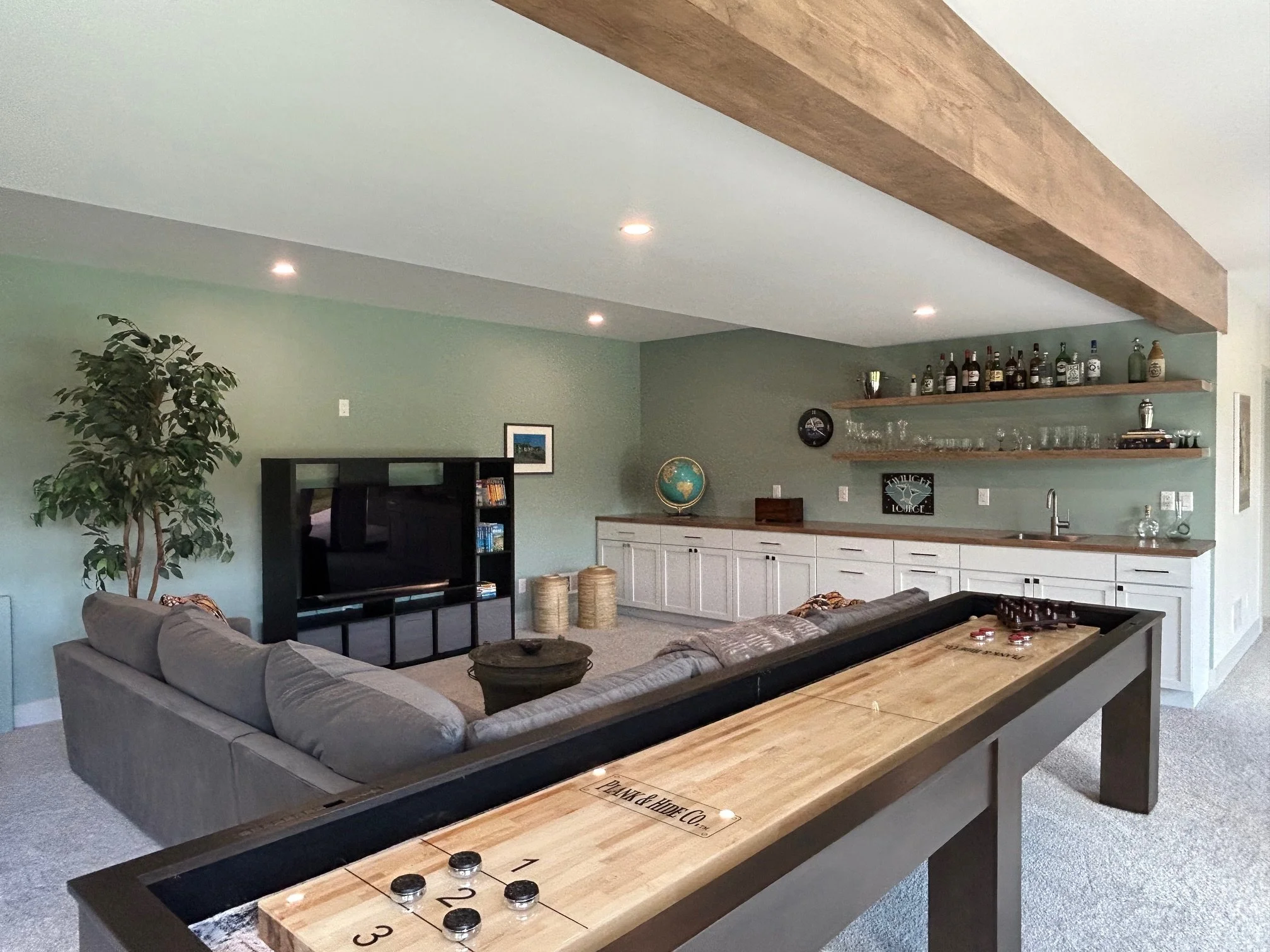 Lower Level Family Room