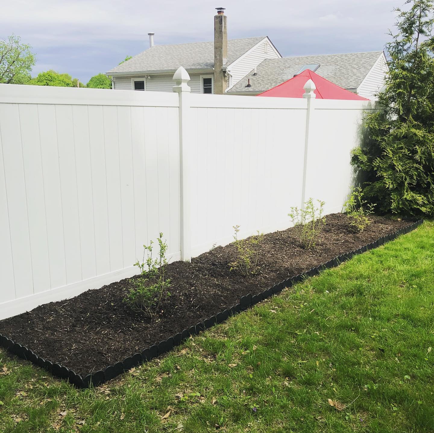 A slightly larger project than my last- BLUEBERRIES! Danielle and I were inspired to add some edible flair to our yard, and after we decided on blueberries we found out that these shrubs happened to be on sale. It was meant to be 🥰 Looking forward t