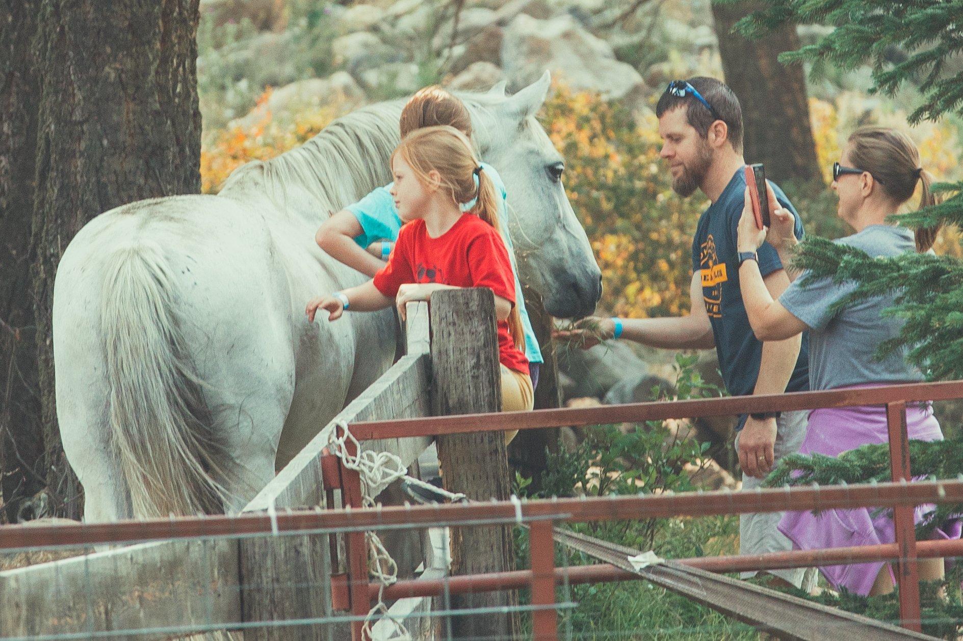 Family Camp