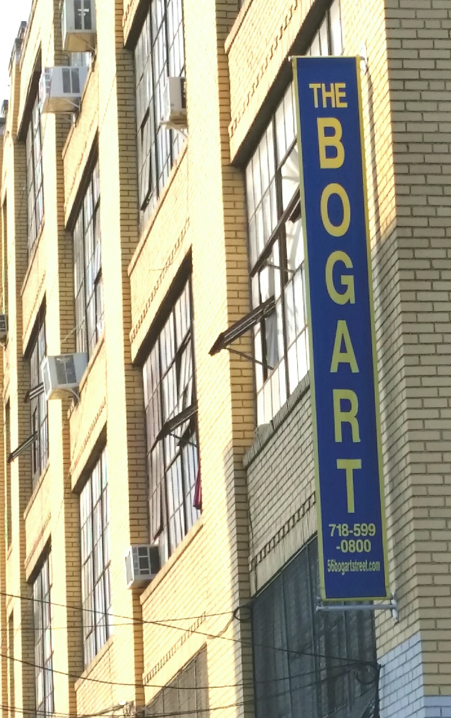Our new neighbors , in Bushwick Brooklyn 