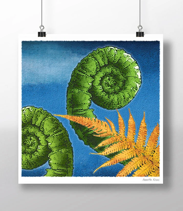 Fern Series 1