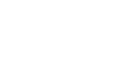 Less Talk, More Walk LLC