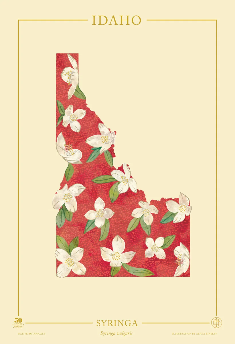 Idaho-Native-Botanicals-13X19.jpg