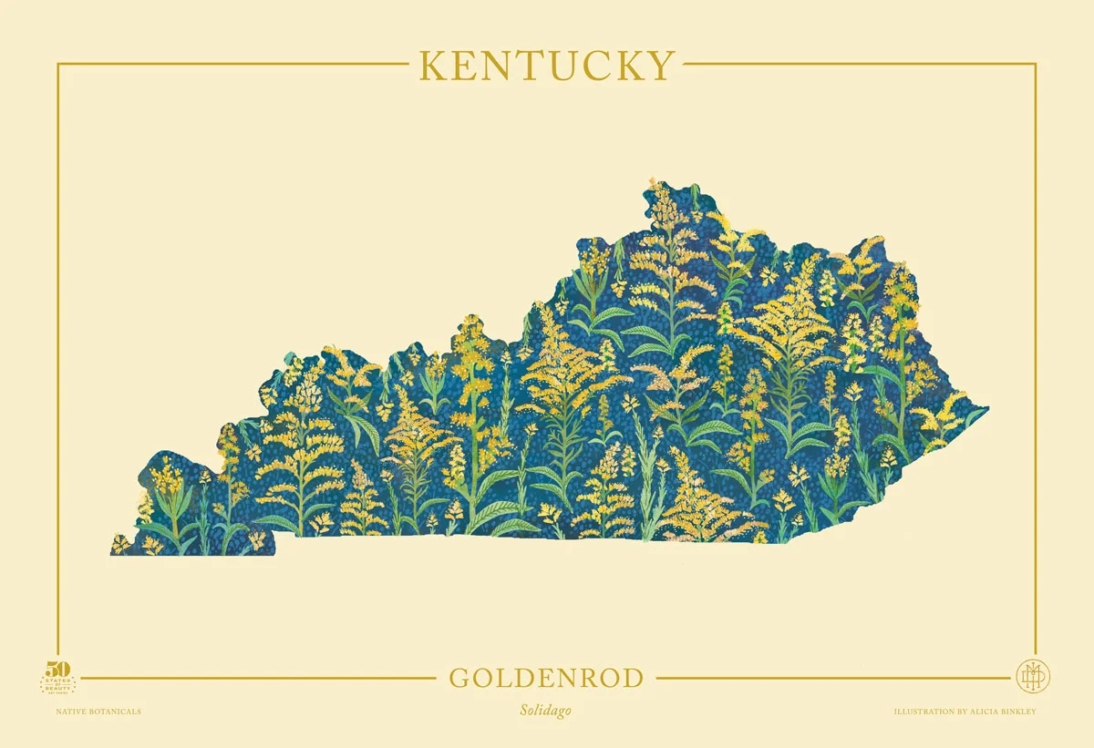 Kentucky-Native-Botanicals-13X19-landscape-TEMPLATE.jpg
