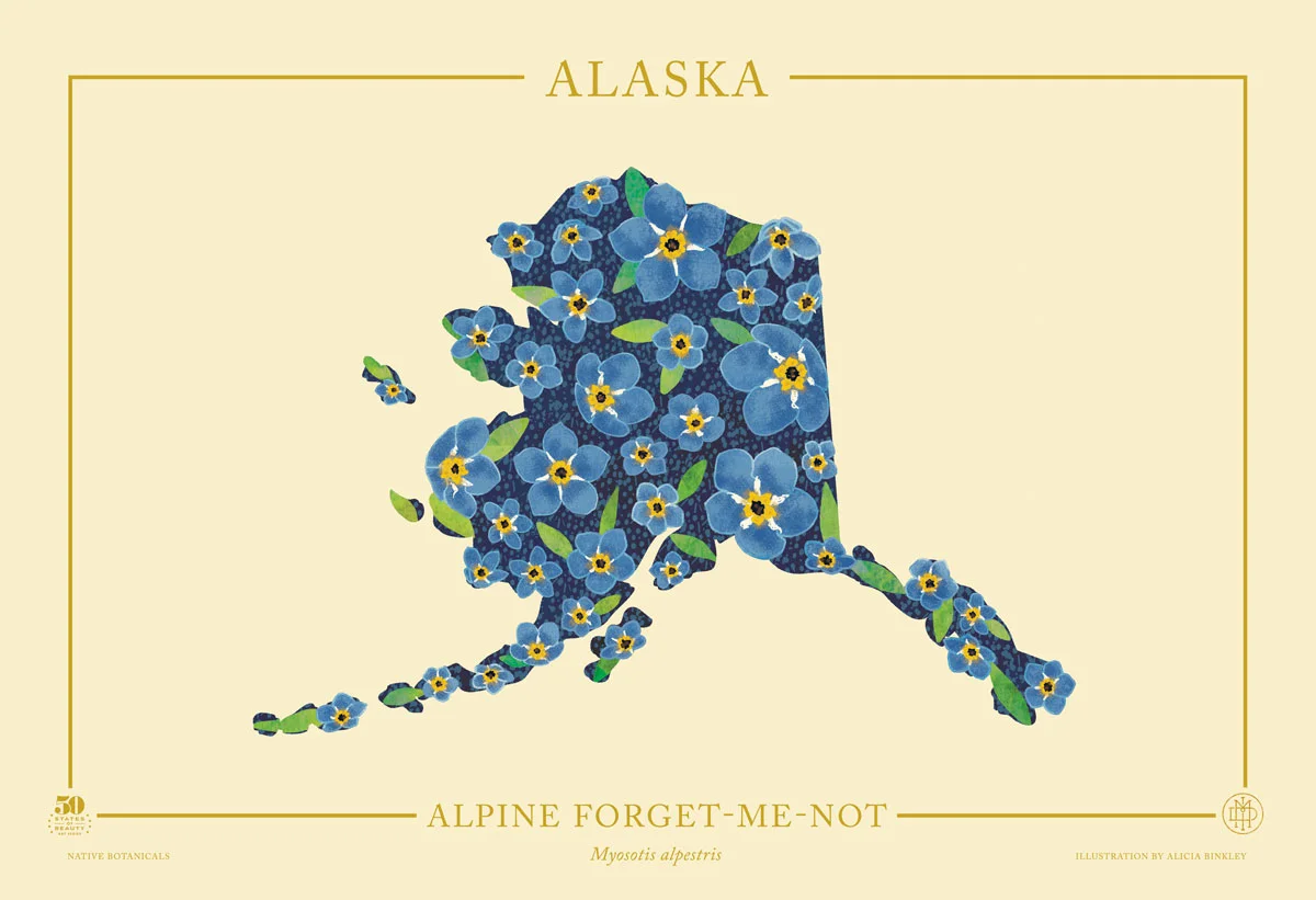 Alaska-Native-Botanicals-13X19.jpg