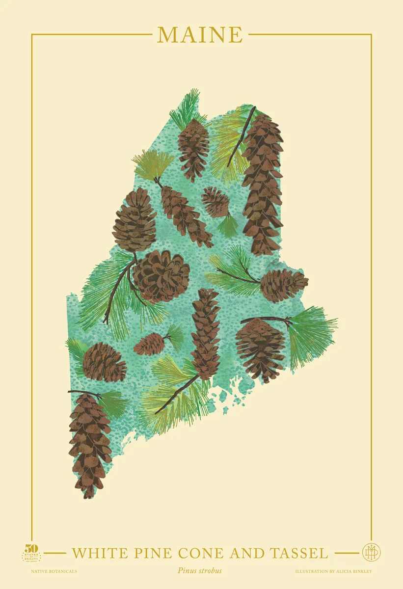 Maine-Native-Botanicals-13X19-portrait-TEMPLATE.jpg