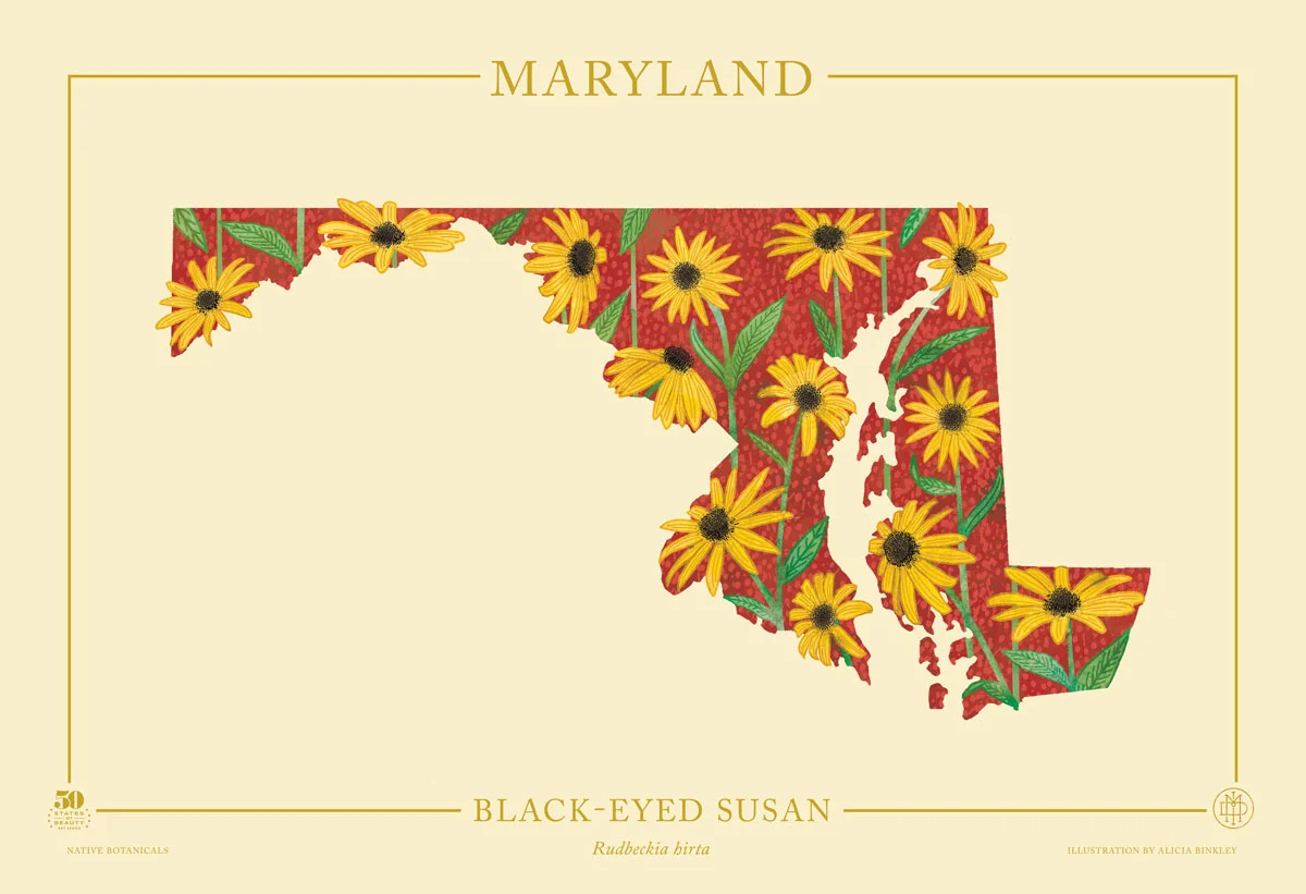 Maryland-Native-Botanicals-13X19-landscape-TEMPLATE.jpg