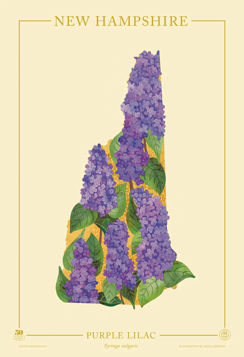 New-Hampshire-Native-Botanicals-13X19-portrait-TEMPLATE.jpg