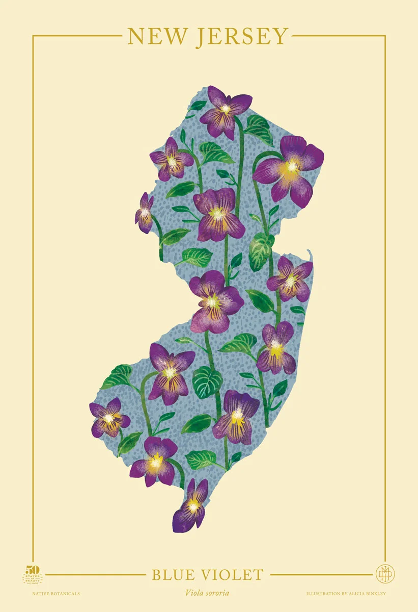 New-Jersey-Native-Botanicals-13X19-portrait-TEMPLATE.jpg