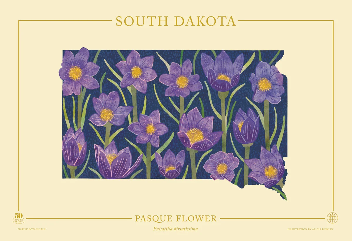 South-Dakota-Native-Botanicals-13X19-landscape-TEMPLATE.jpg