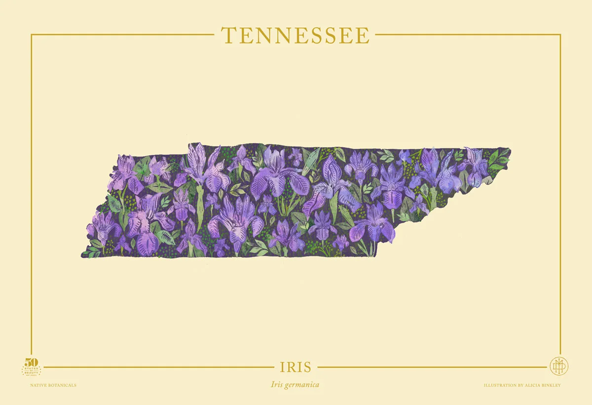 Tennessee-Native-Botanicals-13X19-landscape-TEMPLATE.jpg
