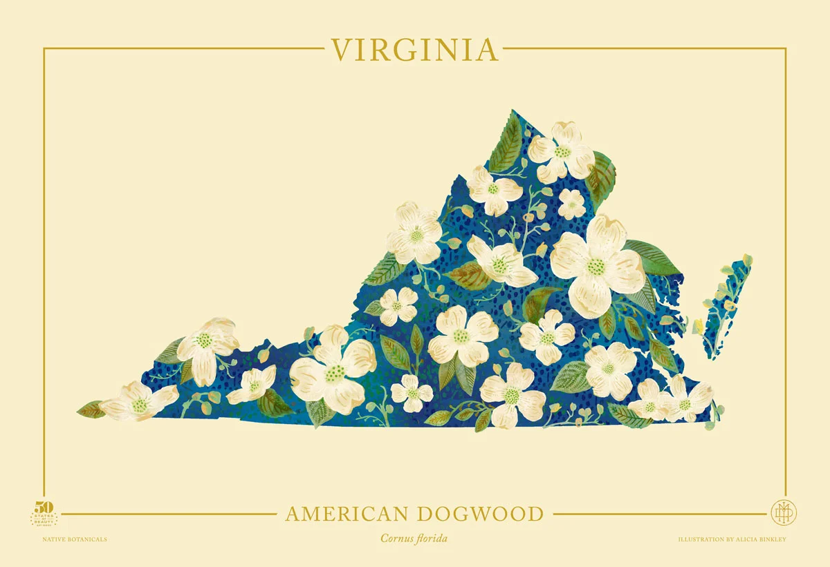 Virginia-Native-Botanicals-13X19-landscape-TEMPLATE.jpg