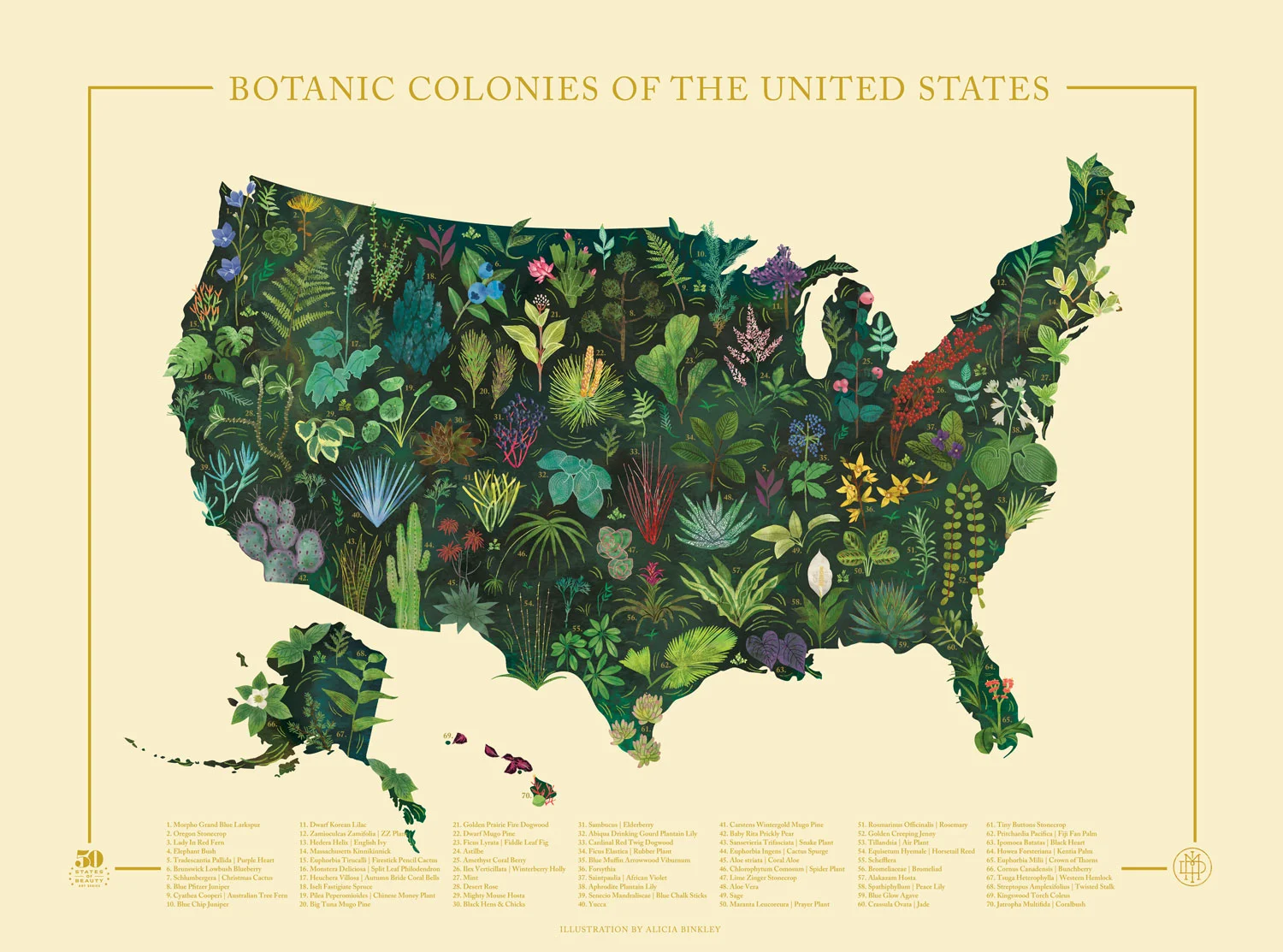 Botanic-Colonies-of-the-US-18x24.jpg