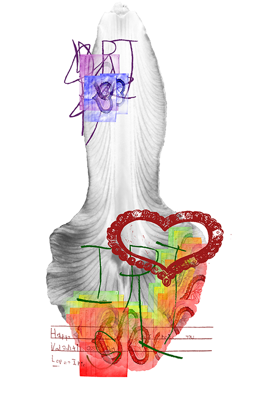 Notes-From-Iris-1,-Photoshop-and-Illustrator,-2012.png