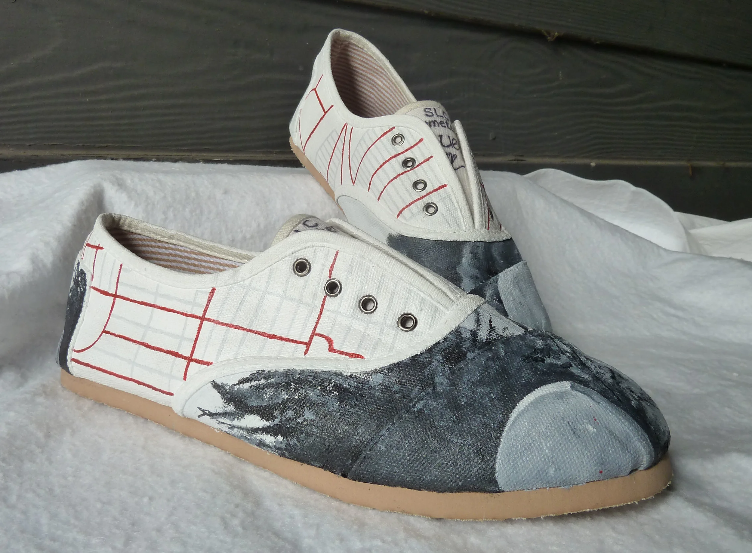 SLC Cemetery-acrylic on canvas shoe- commission-2011.JPG