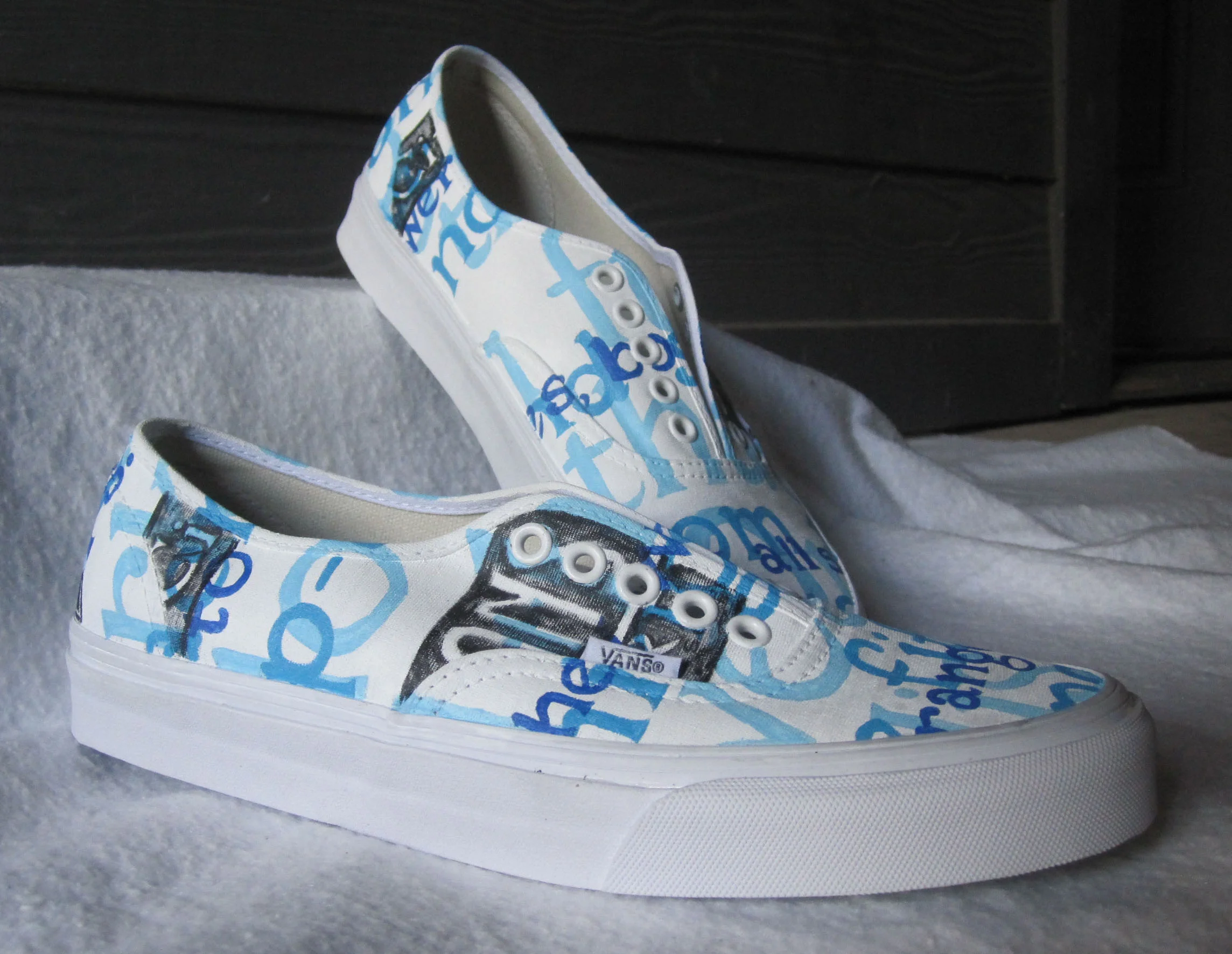 Read-Mader-acrylic on canvas shoe-2012.JPG