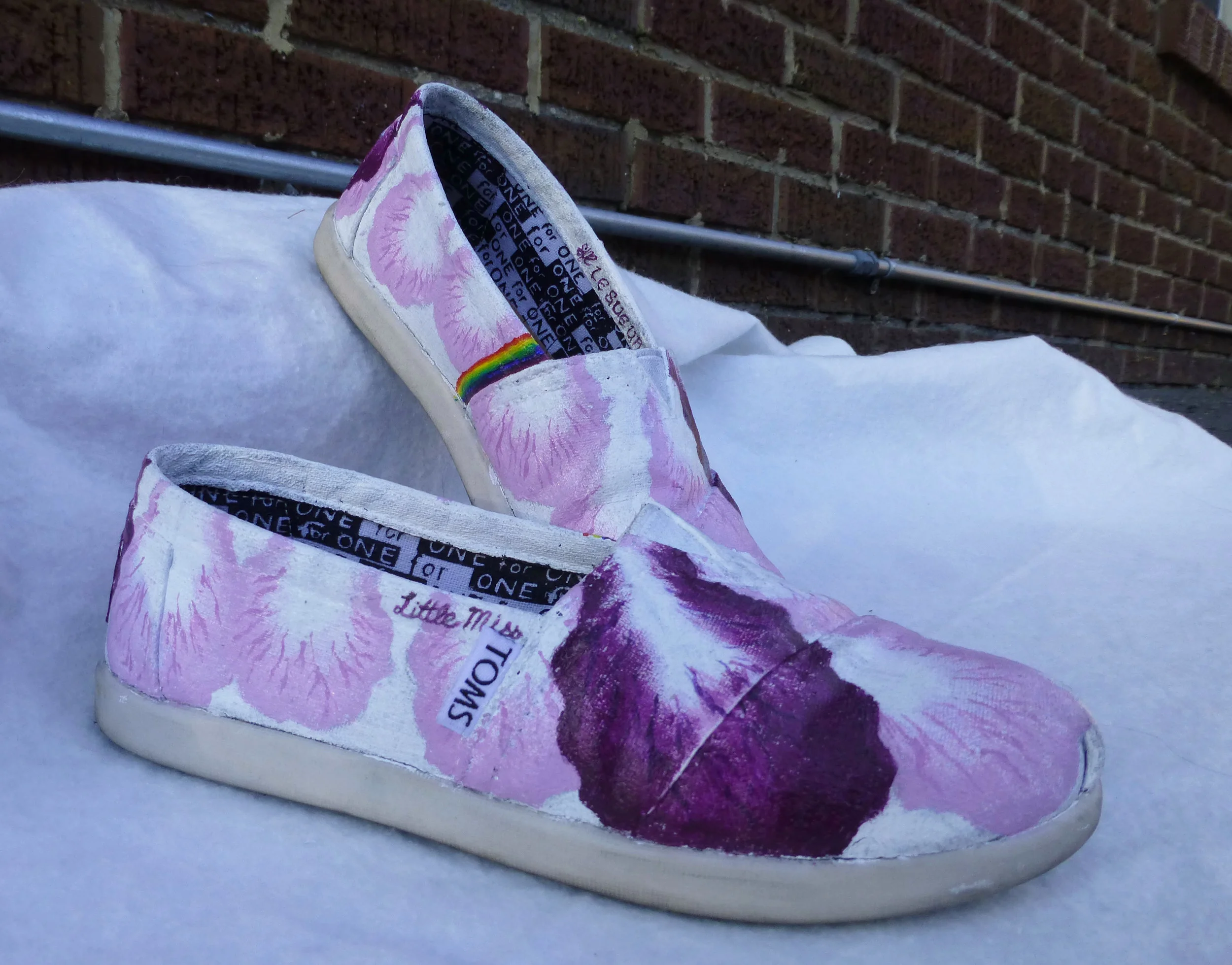 Little-Miss-AcryliconCanvasShoe-2012-2.jpg