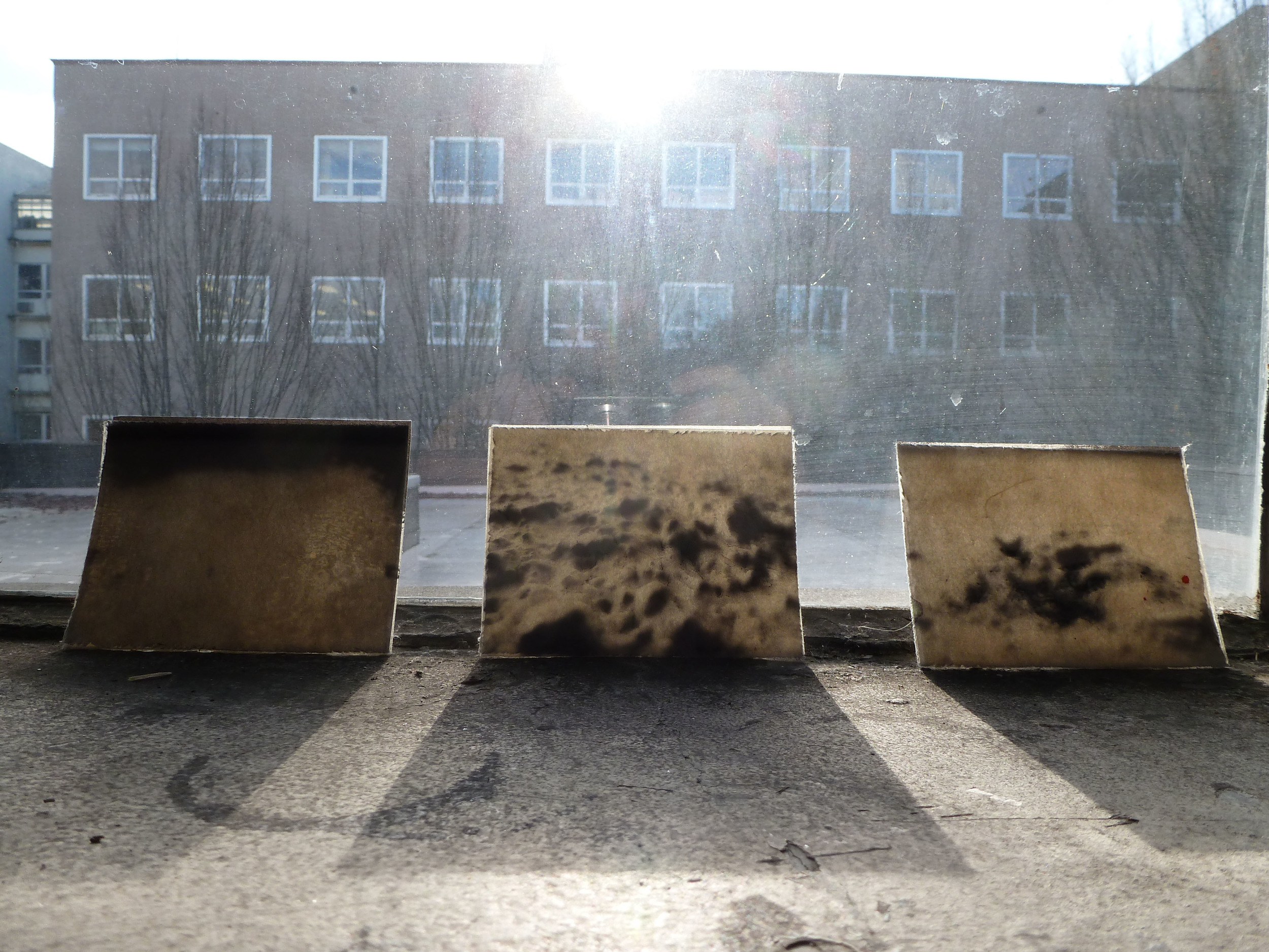 P1000310-2.jpg