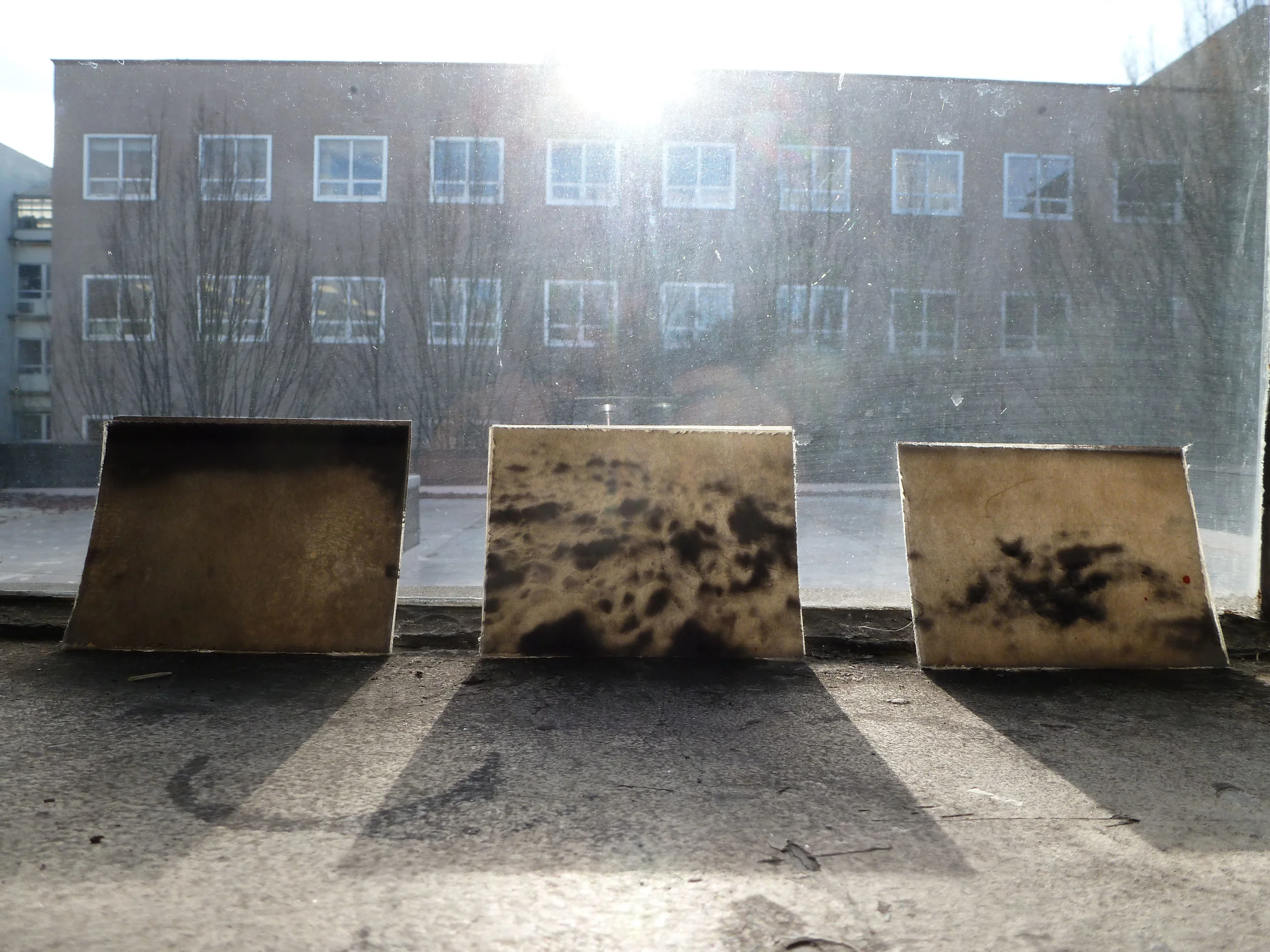 P1000310-2.jpg
