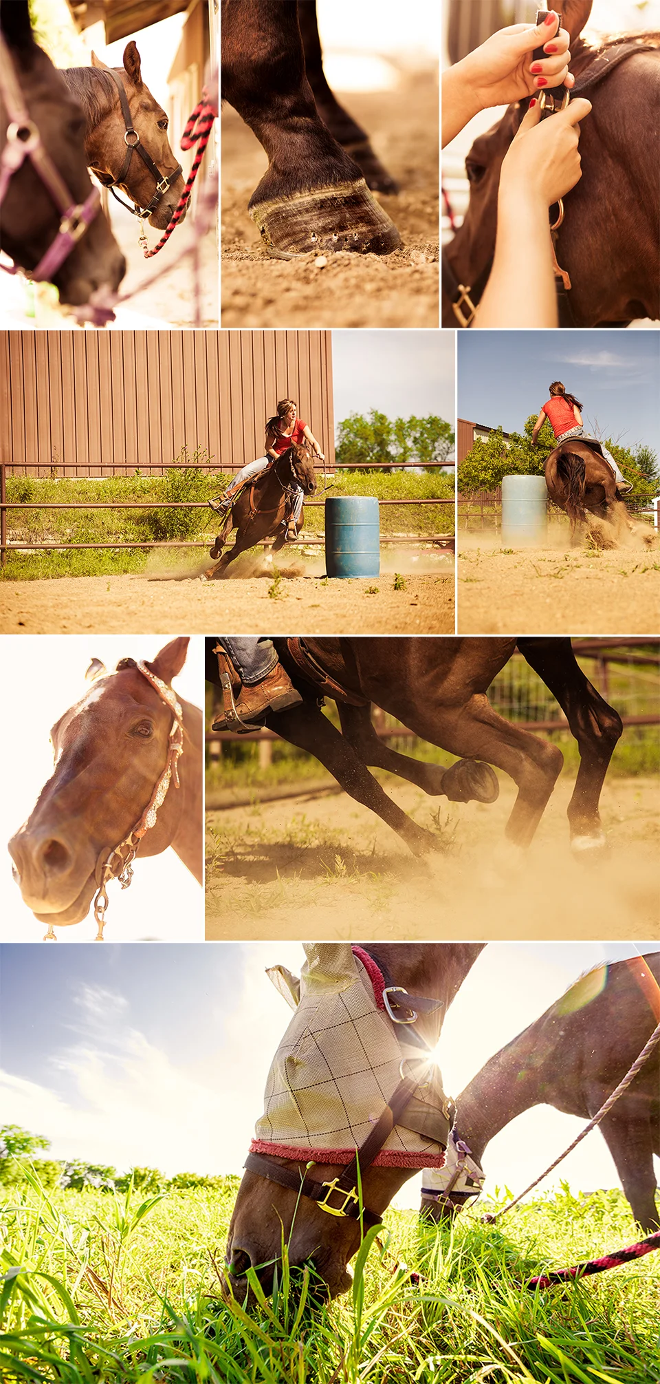 Barrel_Racing_Blog.jpg