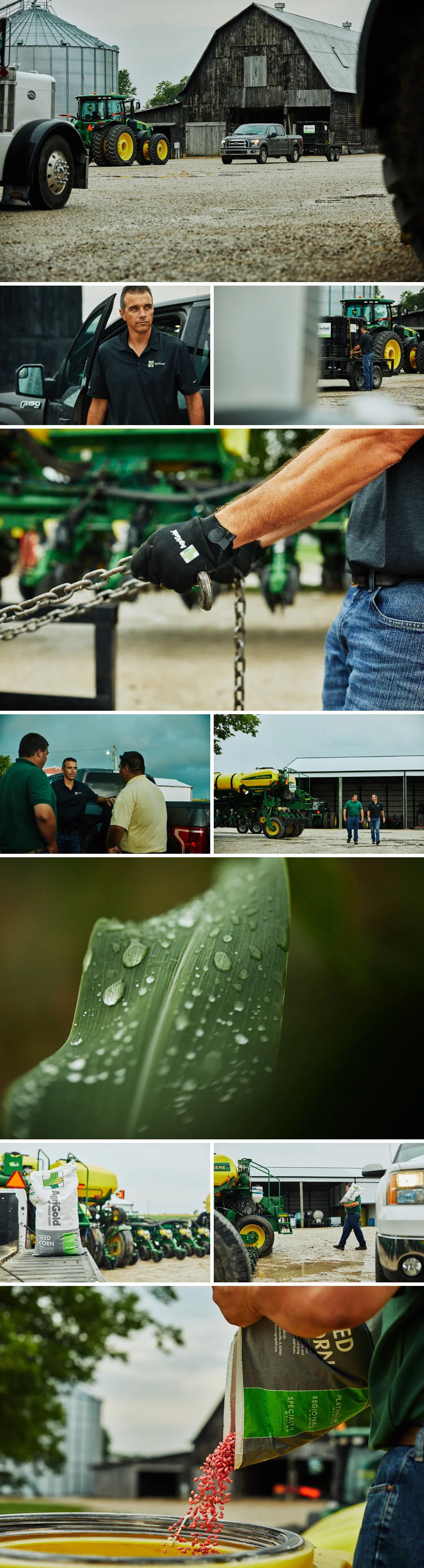 AGRI_Gold_Blog.jpg