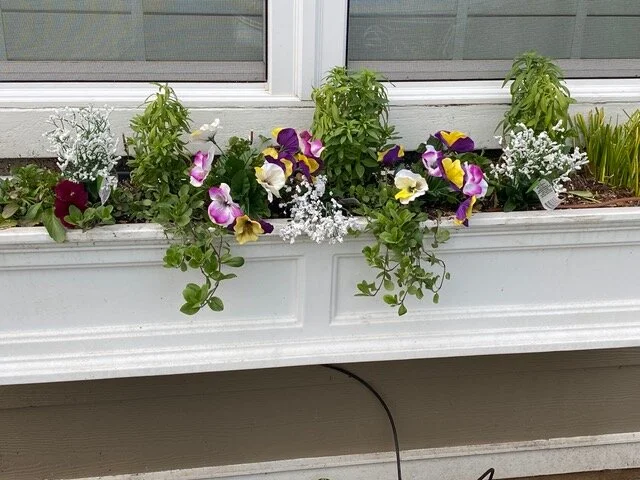 “….she had stuck silk pansies and some white things in the boxes. So much for my horticulture creds. Geez!”