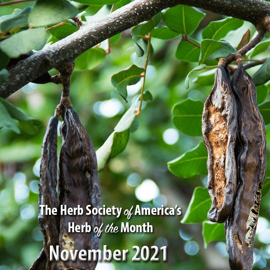 Membership to The Herb Society