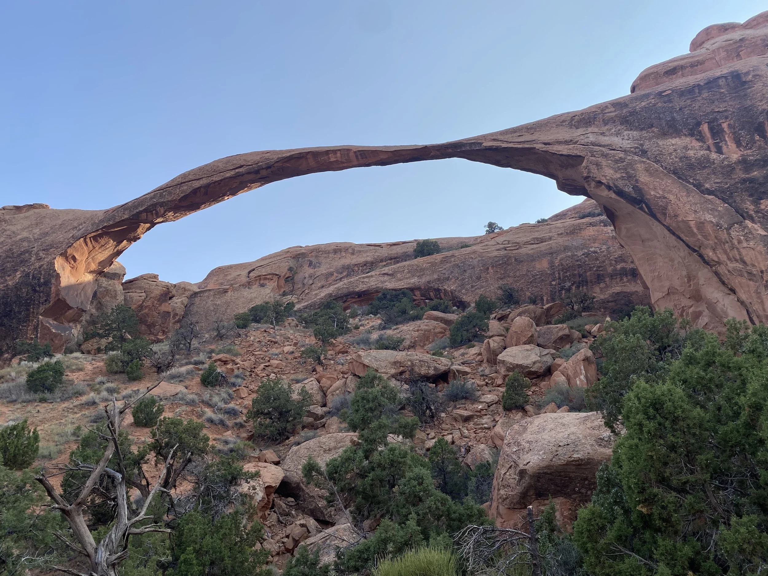 I Simply Remember These Favorite Things with Dr. A ~February 2026 