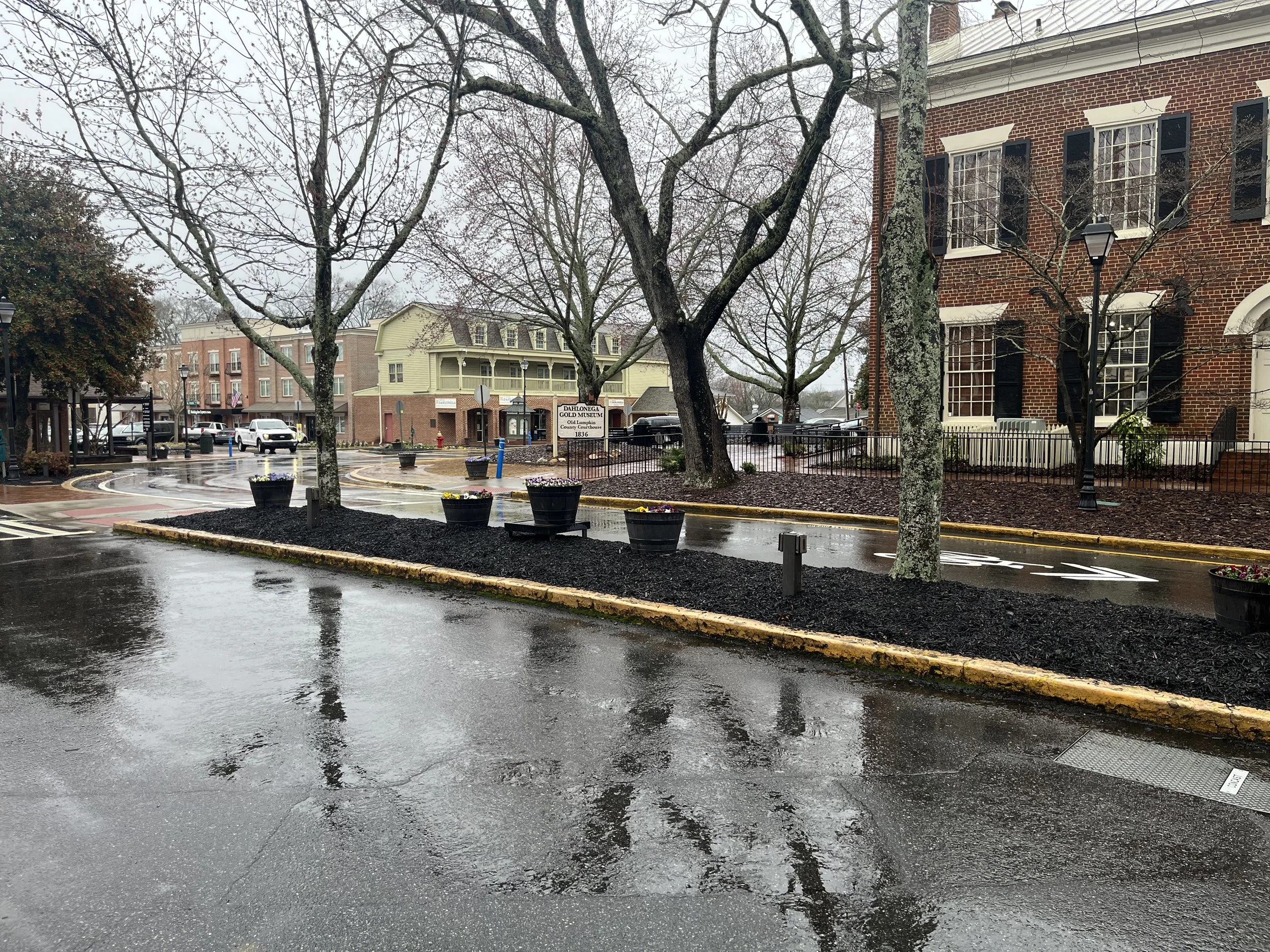 Dahlonega, march, 2025.jpeg