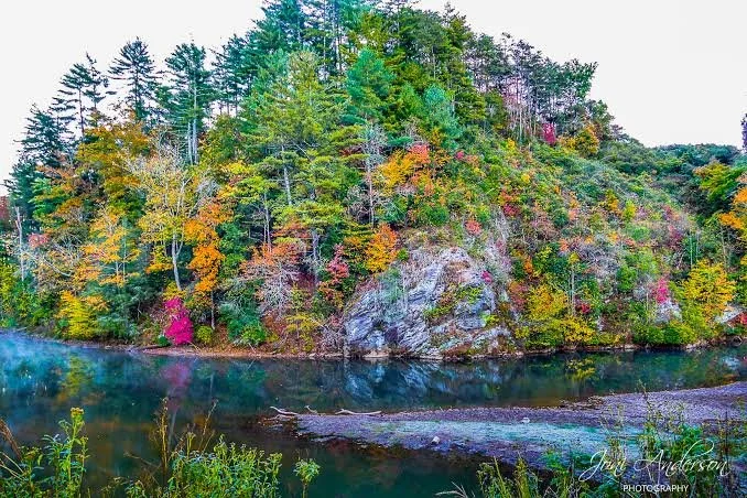 dahlonega fall.jpeg