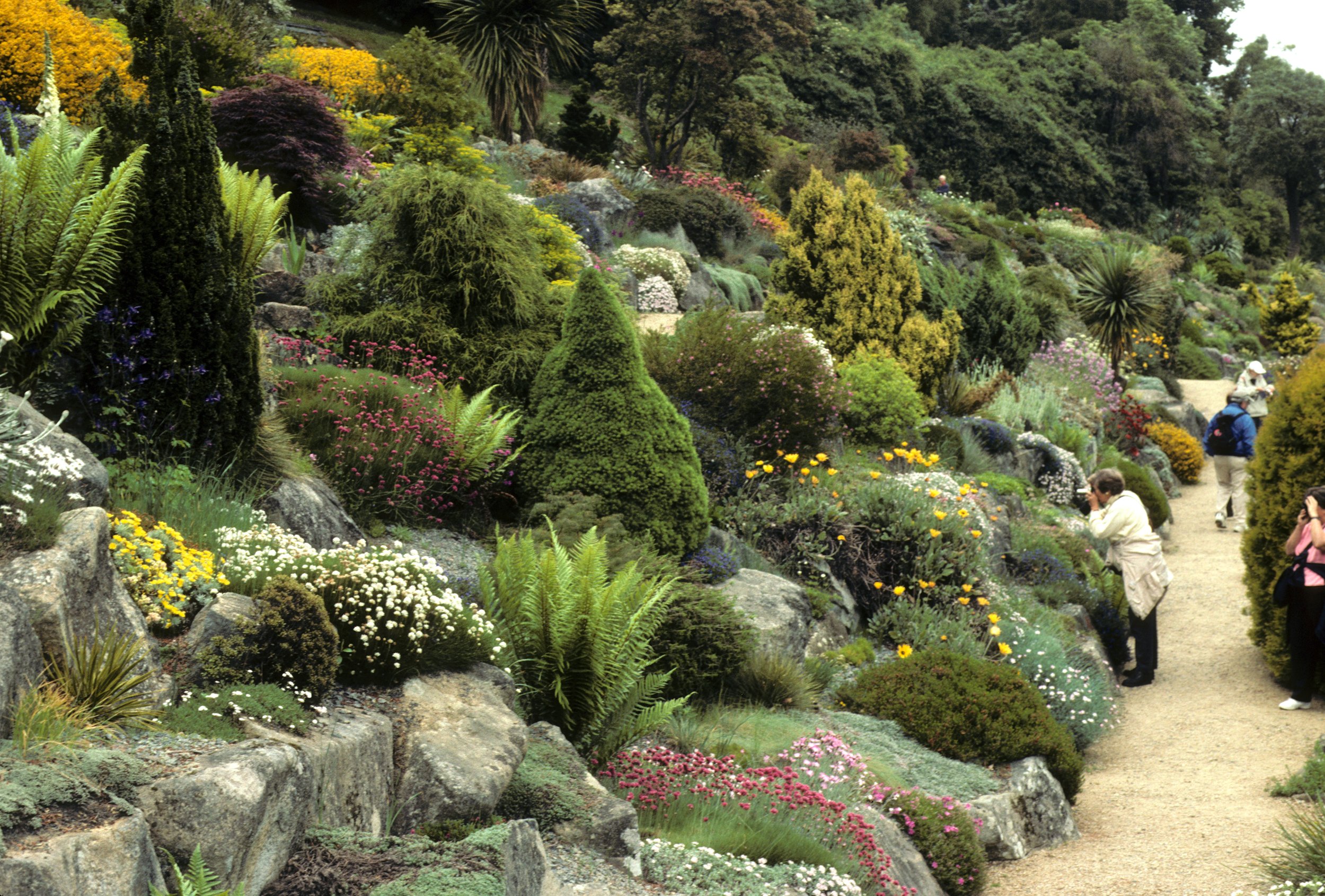 Dunedin Botanical Garden, New Zealand