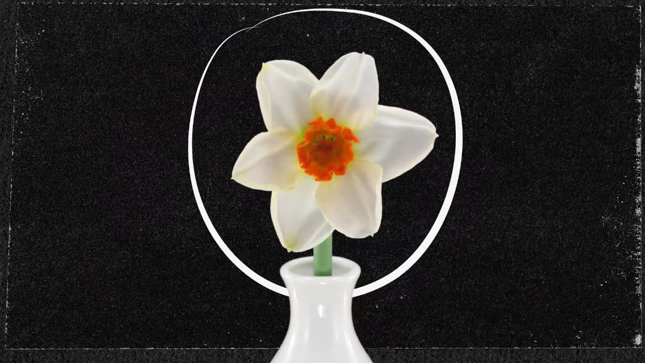 Screenshot 2026-01-20 at 5.14.18 PM.png