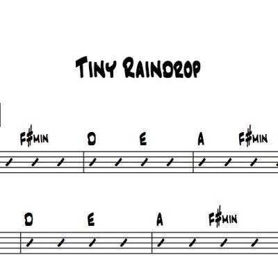 Tiny Raindrops.jpg