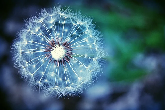 France, Lebanon, and Black Lives Matter