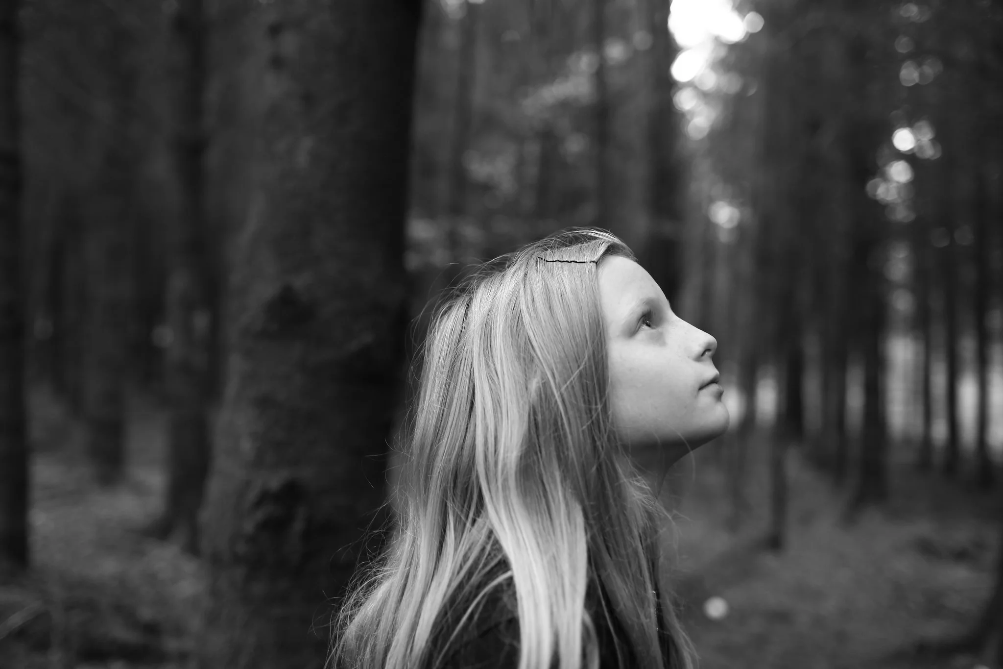 Ash Wednesday: Seeing Visions of God