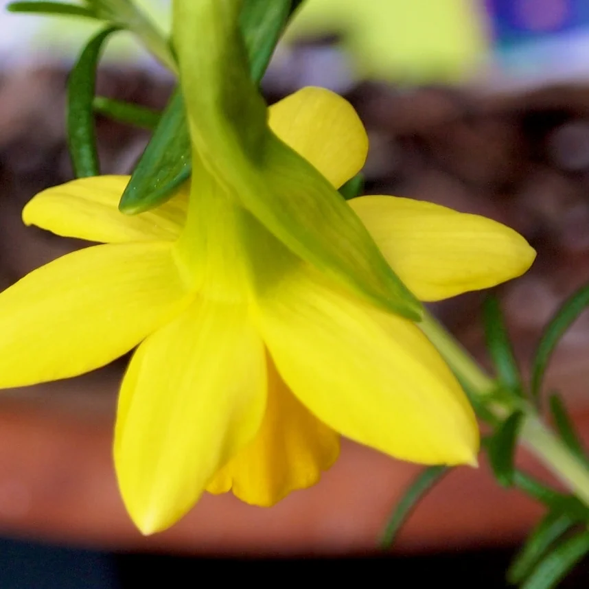 SALT Customizable Short Films for Progressive Churches