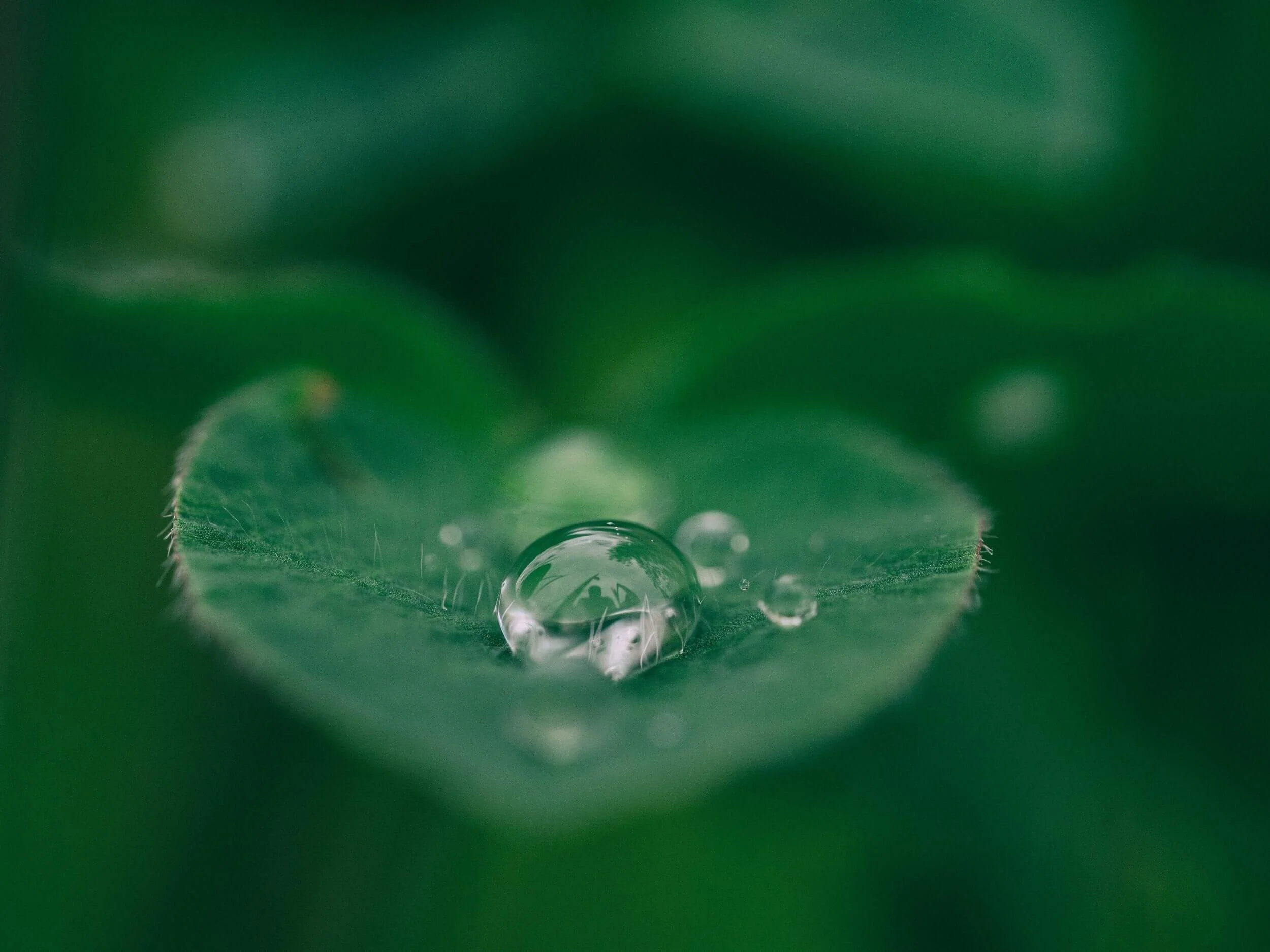 Theologian's Almanac for Week of May 1, 2022